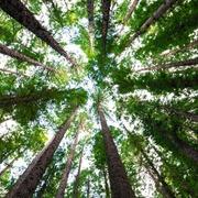 helderziende Natasha- Hi, ik ben er voor jou voor als jij even de bomen door het bos niet meer ziet staan. Ik zet jou graag in je volle kracht en eigen energie stel jezelf a.u.b. ook open voor mij. Alleen dan kunnen wij samen kijken wat voor advies bij jou past en wat jouw toekomst jou mag brengen. Ik help je zeer graag bij een rouwproces of gemis van een dierbare. Wellicht mag ik wel een mooie boodschap aan u doorgeven. Mijn doel is om jou met een glimlach en inzicht achter het scherm vandaan te laten gaan en dat jij verder kunt met mijn inzichten. Helderzienden staan voor u klaar als u het even niet meer zitten of als u gewoon een luisterend oor zoekt. Onze professionele consulenten en helderzienden zijn op hun eigen bijzondere specialiteiten gescreend en getest. U kan bij ons terecht voor  spiritueel en betrouwbaar advies. 